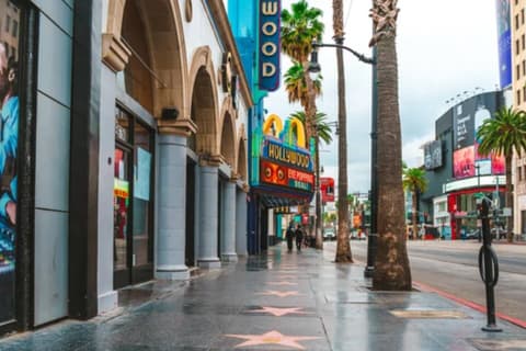 Hollywood Walk of Fame (~6.0 miles)
Walk among the stars on the legendary Hollywood Walk of Fame.